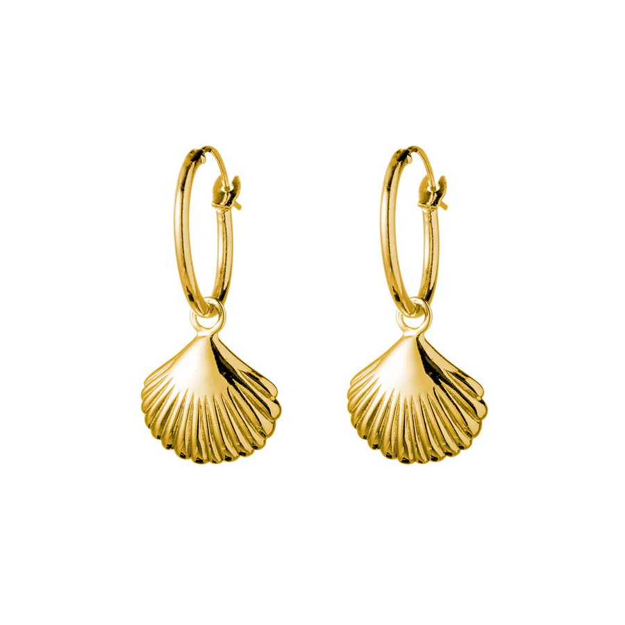 Midsummer Star Seashell Hoops - Gold